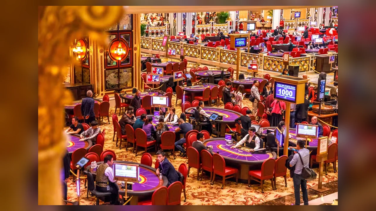 NZ88: Hướng dẫn thực hành theo dõi phiên casino cho người mới bắt đầu